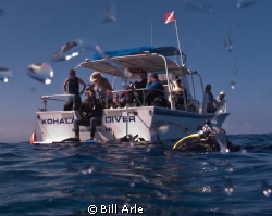Start of the dive.  Getting everyone off the boat. by Bill Arle 